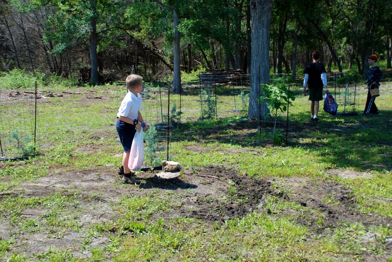 2012/04(April)/Easter/800x600_2012-04-08-33-Egg Hunt.jpg